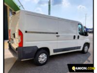 Citroen VERSIONE | Altro Altro | Zanoni Srl