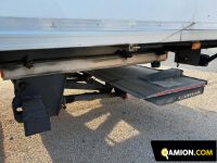 Man TGX tgx26.480 | Altro Altro