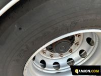 Schmitz CENTINATO ALLA FRANCESE CENTINATO ALLA FRANCESE