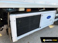 Man TGX tgx26.480 | Altro Altro