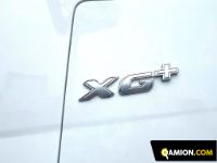 Daf XG+ 530 FT XG+ 530 FT | Altro Altro