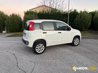 Fiat PANDA panda | BEDIN ALBERTO