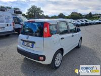 Fiat PANDA PANDA | Automobile Automobile | Borgo Agnello S.p.A.