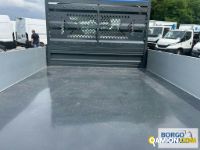 Iveco DAILY 35C14 DAILY 35C14 | Mezzi d'opera / mezzi da cantiere Altro | Borgo Agnello S.p.A.