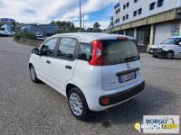 Fiat PANDA PANDA | Automobile Automobile | Borgo Agnello S.p.A.