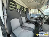 Iveco DAILY 70C17 DAILY 70C17 | Motrice Isotermico / coibentato | Borgo Agnello S.p.A.