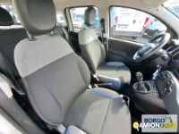 Fiat PANDA PANDA | Automobile Automobile | Borgo Agnello S.p.A.