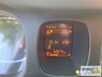 Fiat PANDA PANDA | Automobile Automobile | Borgo Agnello S.p.A.