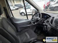 Ford TRANSIT TRANSIT | Leggero Furgone > 35 q.li Altro | Borgo Agnello S.p.A.