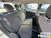 Fiat PANDA PANDA | Automobile Automobile | Borgo Agnello S.p.A.