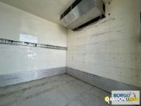Iveco DAILY 70C17 DAILY 70C17 | Motrice Isotermico / coibentato | Borgo Agnello S.p.A.