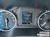 Iveco DAILY 35C14 DAILY 35C14 | Leggero Furgone > 35 q.li Altro | Borgo Agnello S.p.A.