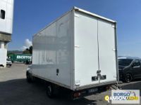 Iveco DAILY 35S14 DAILY 35S14 | Leggero Furgone > 35 q.li Altro | Borgo Agnello S.p.A.