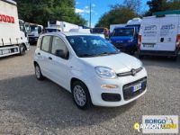 Fiat PANDA PANDA | Automobile Automobile | Borgo Agnello S.p.A.