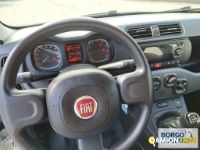 Fiat PANDA PANDA | Automobile Automobile | Borgo Agnello S.p.A.
