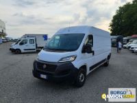 Fiat DUCATO DUCATO | Leggero Furgone > 35 q.li Altro | Borgo Agnello S.p.A.
