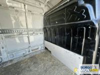 Iveco DAILY 35S14 DAILY 35S14 | Leggero Furgone > 35 q.li Altro | Borgo Agnello S.p.A.