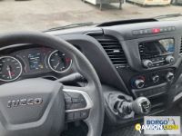 Iveco DAILY 35C14 | Leggero Furgone > 35 q.li Altro | Borgo Agnello S.p.A.