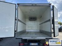 Iveco DAILY 70C17 DAILY 70C17 | Motrice Isotermico / coibentato | Borgo Agnello S.p.A.