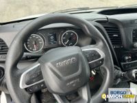 Iveco DAILY 35S16 DAILY 35S16 | Altro Isotermico / coibentato | Borgo Agnello S.p.A.