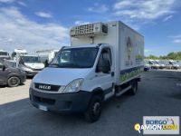 Iveco DAILY 70C17 DAILY 70C17 | Motrice Isotermico / coibentato | Borgo Agnello S.p.A.
