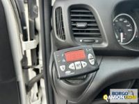 Iveco DAILY 35S16 DAILY 35S16 | Altro Isotermico / coibentato | Borgo Agnello S.p.A.