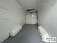 Iveco DAILY 35S16 DAILY 35S16 | Altro Isotermico / coibentato | Borgo Agnello S.p.A.