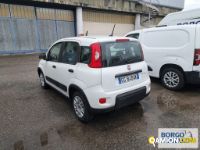 Fiat PANDA PANDA | Leggero Furgone > 35 q.li Altro | Borgo Agnello S.p.A.