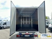 Iveco DAILY 35C14 DAILY 35C14 | Leggero Furgone > 35 q.li Altro | Borgo Agnello S.p.A.