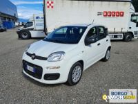 Fiat PANDA PANDA | Automobile Automobile | Borgo Agnello S.p.A.