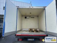 Iveco DAILY 60C15 DAILY 60C15 | Motrice Isotermico / coibentato | Borgo Agnello S.p.A.