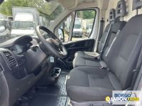 Fiat DUCATO DUCATO | Leggero Furgone > 35 q.li Altro | Borgo Agnello S.p.A.