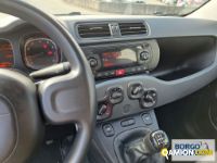 Fiat PANDA PANDA | Automobile Automobile | Borgo Agnello S.p.A.