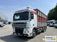 Daf XF 105 460 XF 105 460 | Motrice Scarrabile con gancio | Borgo Agnello S.p.A.