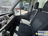 Ford TRANSIT TRANSIT | Leggero Furgone > 35 q.li Altro | Borgo Agnello S.p.A.