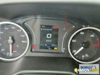 Iveco DAILY 35C14 DAILY 35C14 | Mezzi d'opera / mezzi da cantiere Altro | Borgo Agnello S.p.A.