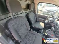 Renault KANGOO KANGOO | Leggero Furgone > 35 q.li Altro | Borgo Agnello S.p.A.