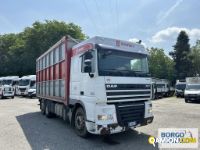 Daf XF 105 460 XF 105 460 | Motrice Scarrabile con gancio | Borgo Agnello S.p.A.