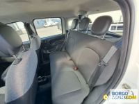 Fiat PANDA PANDA | Automobile Automobile | Borgo Agnello S.p.A.