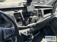 Ford TRANSIT TRANSIT | Leggero Furgone > 35 q.li Altro | Borgo Agnello S.p.A.