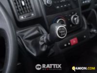 Peugeot BOXER 435 2.2 BlueHDI 140CV Affaire L2H2 N1 Autocarro (IVA ESCLUSA) | Altro Altro