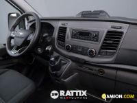 Ford TRANSIT 350 2.0 TDCI 170CV Trend L3H2 RWD (IVA ESCLUSA) | Altro Altro