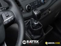 Ford TRANSIT 350 2.0 TDCI 170CV Trend L3H2 RWD (IVA ESCLUSA) | Altro Altro