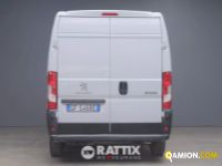 Peugeot BOXER 435 2.2 BlueHDI 140CV Affaire L2H2 N1 Autocarro (IVA ESCLUSA) | Altro Altro