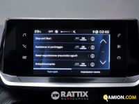 Peugeot 208 1.5 BlueHDI 100CV Active Pack  | Altro Altro