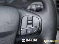 Ford TRANSIT 350 2.0 TDCI 170CV Trend L3H2 RWD (IVA ESCLUSA) | Altro Altro