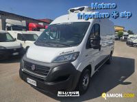 Fiat DUCATO DUCATO | Millenium Car