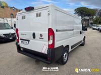 Fiat DUCATO ducato | Millenium Car