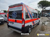 Fiat DUCATO DUCATO | Millenium Car