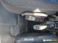 Iveco DAILY 65C15 DAILY 65C15 | Millenium Car